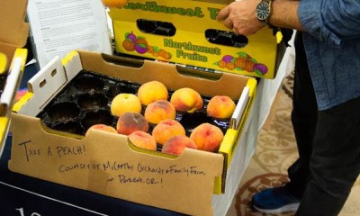 peaches