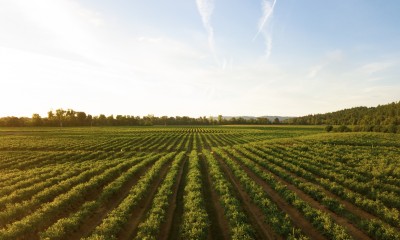 Oregon Farm Homepage Image