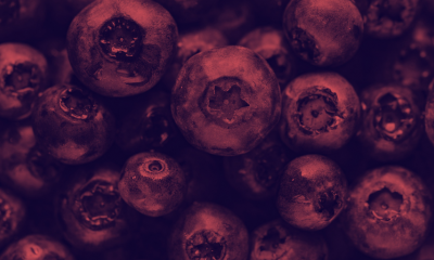 Blueberry Salsa Header
