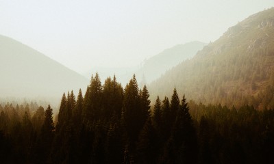 Oregon landscape