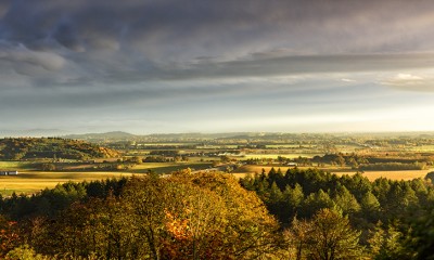 A vista of Marion County