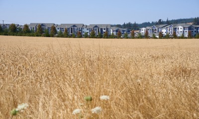 Housing development next to farmland