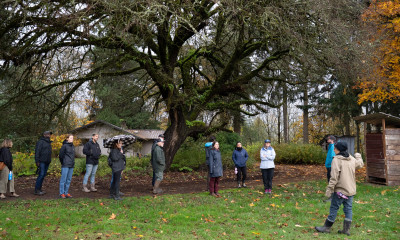 A group of people standing on the edge of an agricultural field, backed by a large, mossy tree