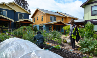 Two people in a community garden that is set up between a cluster of homes