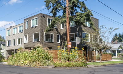 A multiplex with sunflowers, corn, and an evergreen tree growing outside