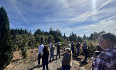 A group of people on a tour of a tree nursery