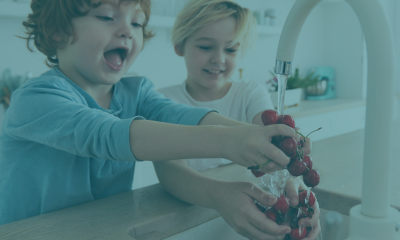 Kids washing cherries in a sink, in a teal-toned photo