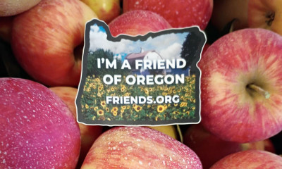 A sticker in the shape of Oregon that says, "I'm a friend of Oregon" on top of a large pile of red-yellow apples.