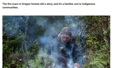 Screenshot of article titled, "How Indigenous leaders are 'carrying fire' from Northwest history to the present." Dated April 26, 2026. Includes a photo of an Indigenous elder managing a small blaze on some dense vegetation.