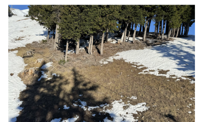Screenshot of an article that is titled, "A third of Oregon counties now have drought emergencies, state says." This article is accompanied by a photo of sparse snow and bare dirt on a mountainside with a small stand of trees.