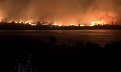 A wildfire burning a forested landscape at night, with orange flames glowing in the darkness.