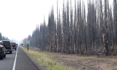 A long line of cars at a standstill on a highway in a hazy and burned landscape
