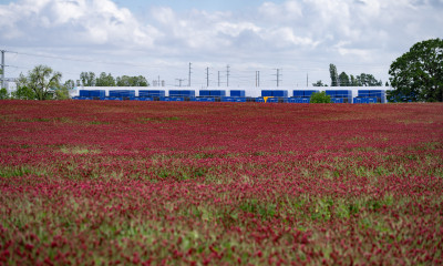Blue and white, windowless data center buildings behind a red crimson clover field