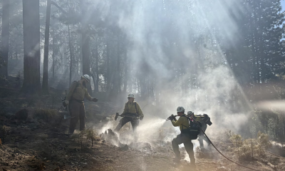 Three wildland firefighters using tools in a smoky forest