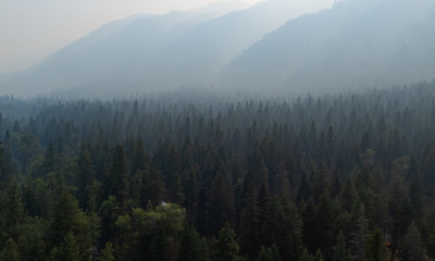 Layered, forested hills that are increasingly obscured by thick haze as they recede into the distance