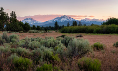 Three mountains with snow loom over a vast, arid landscape with some Ponderosa pines